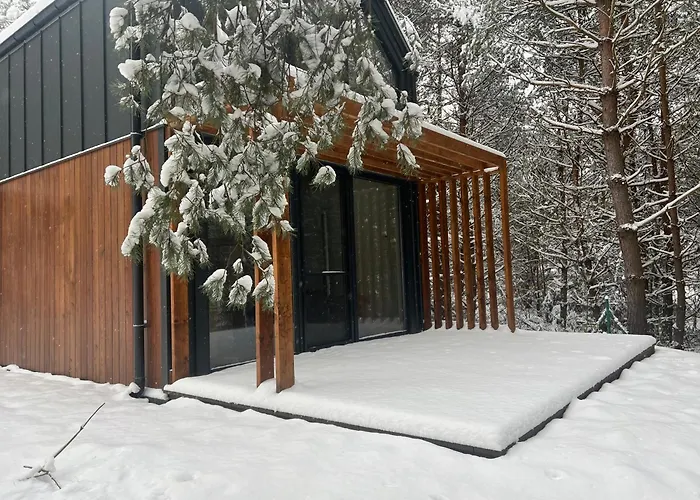 Domek Laba Chancza Nad Zalewem, Domek W Lesie Z Opcja Balii, Antresola